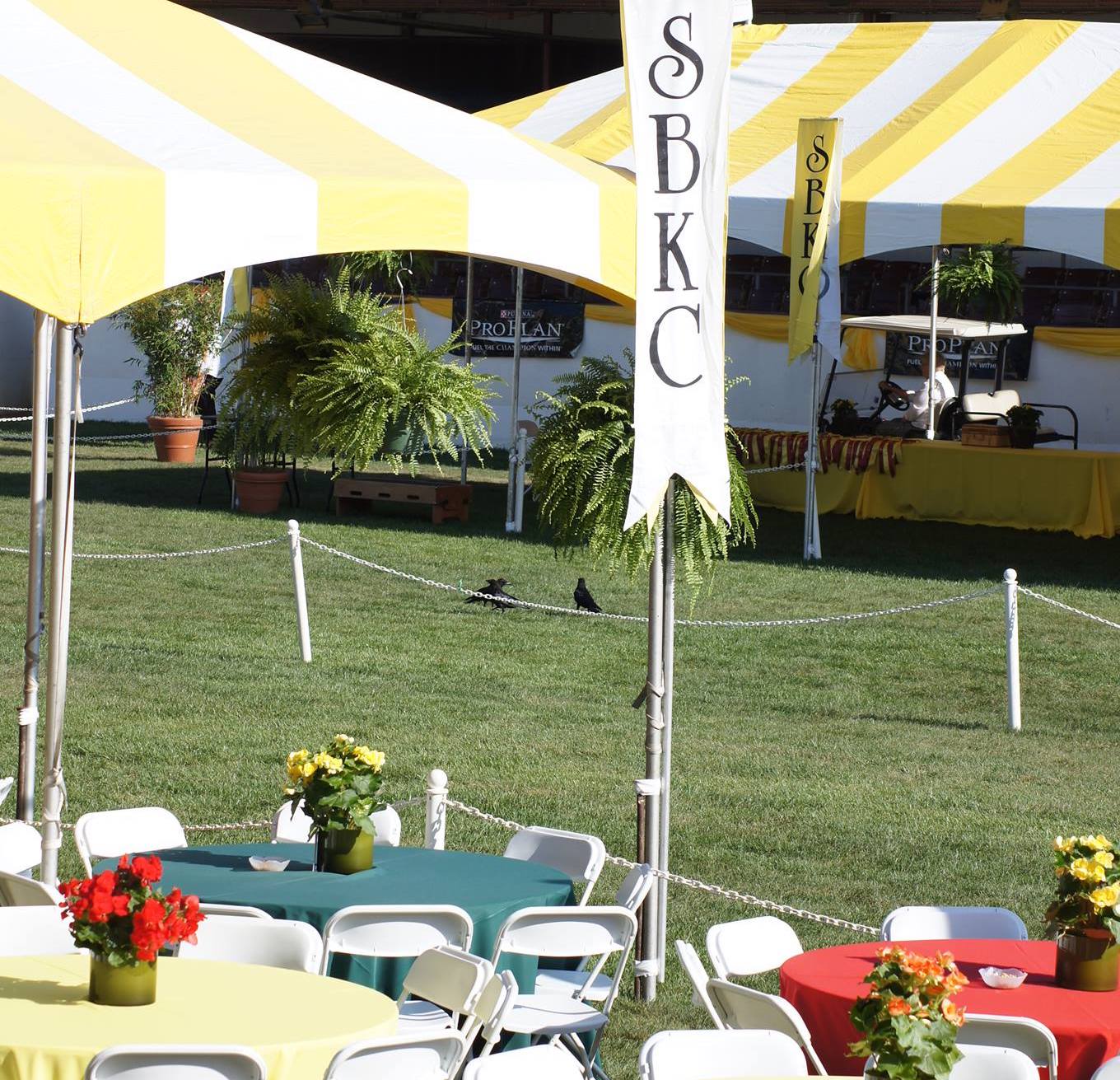 Editorial: July 15, 2022